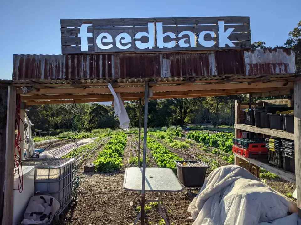 Rows of vegetables growing at FO's original urban farm, with the Feedback sign above the shed